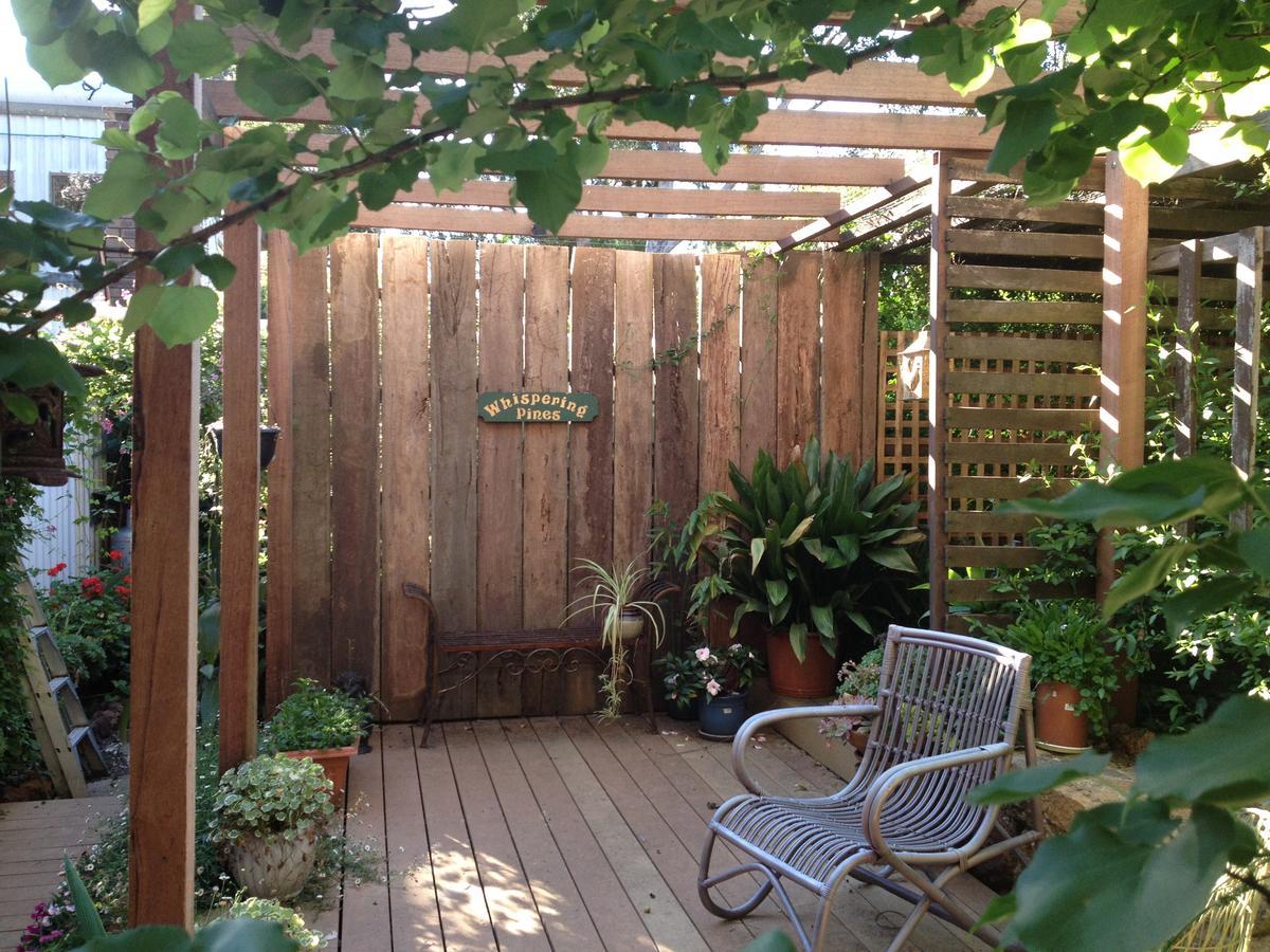 Whispering Pines Bed&Breakfast Collie Exterior foto
